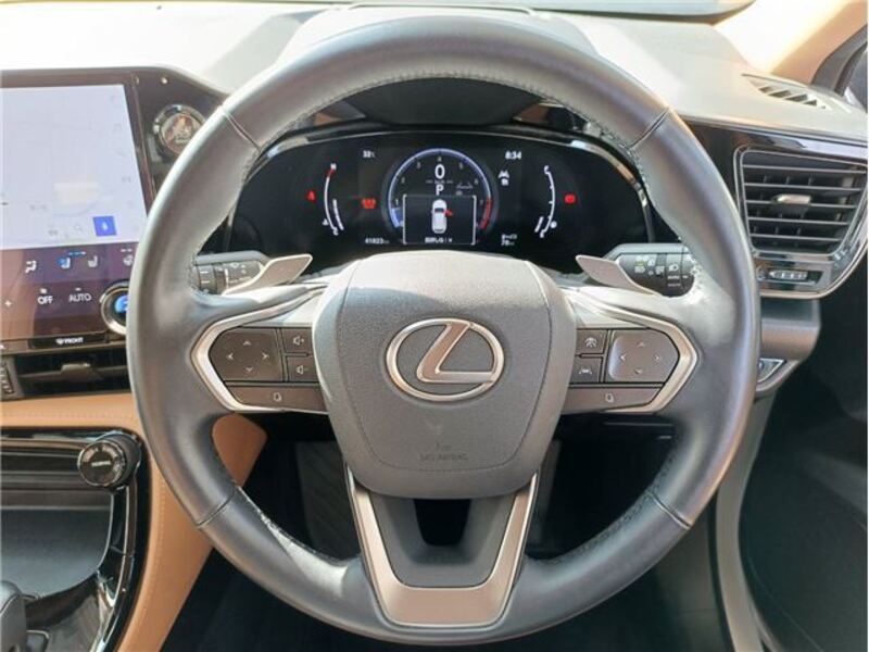 NX