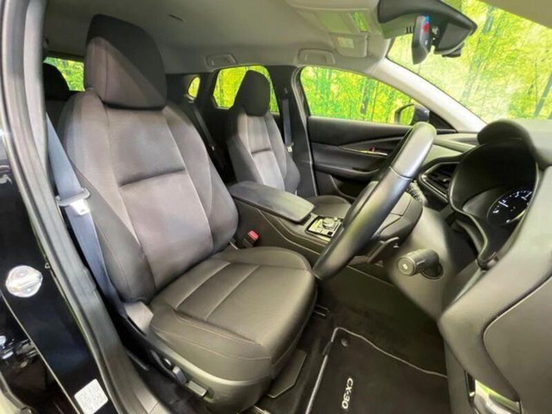 CX-30