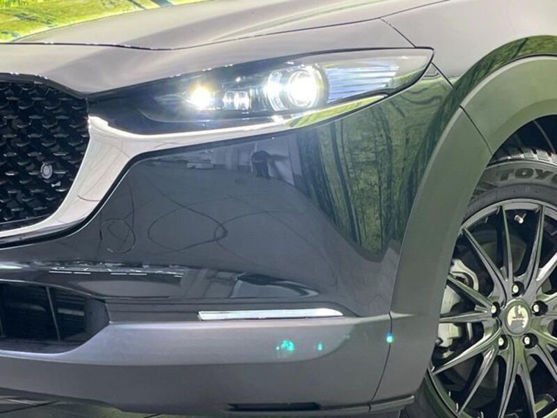 CX-30