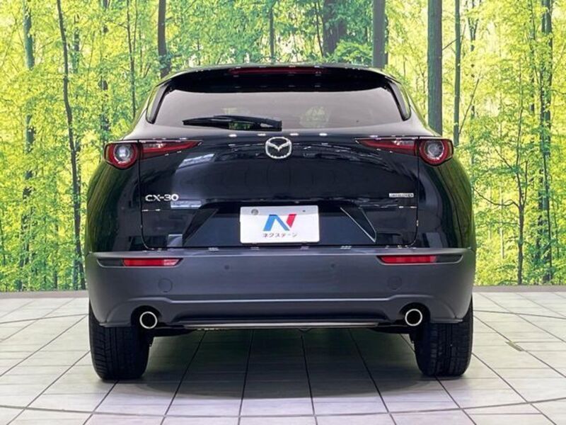 CX-30