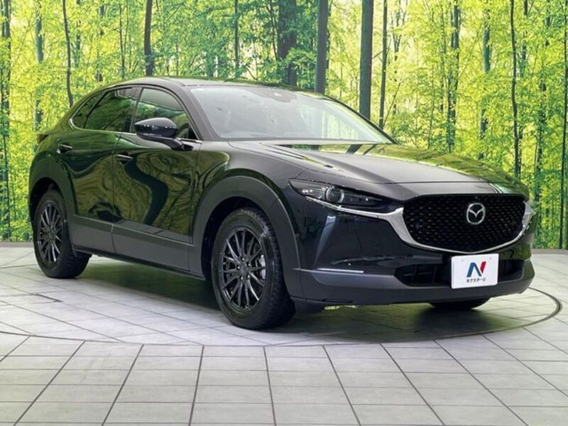 CX-30