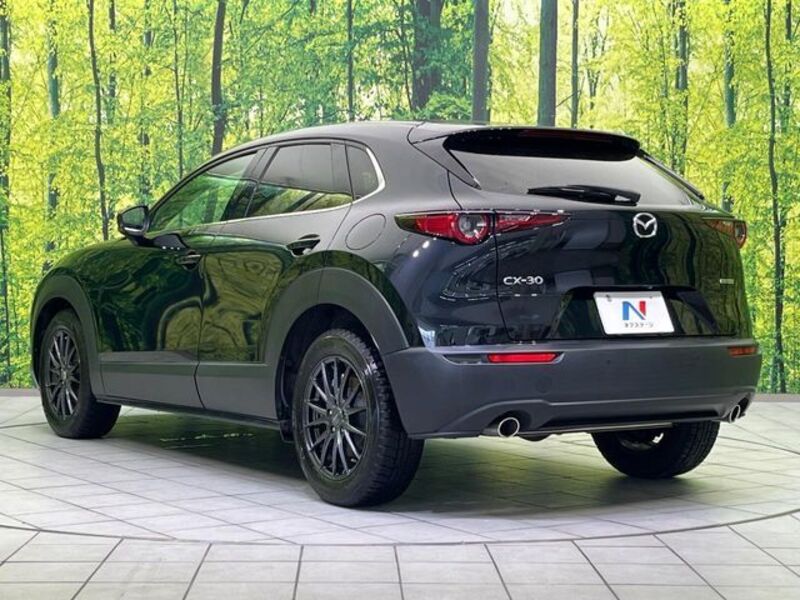 CX-30