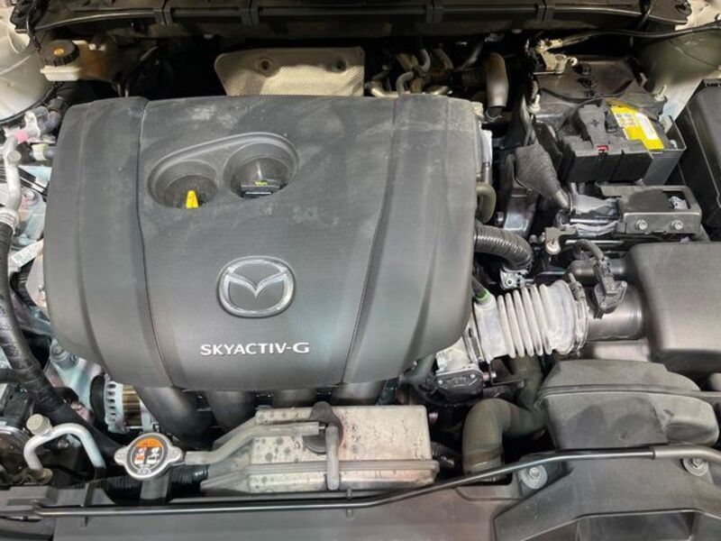 CX-8
