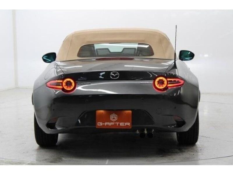 ROADSTER