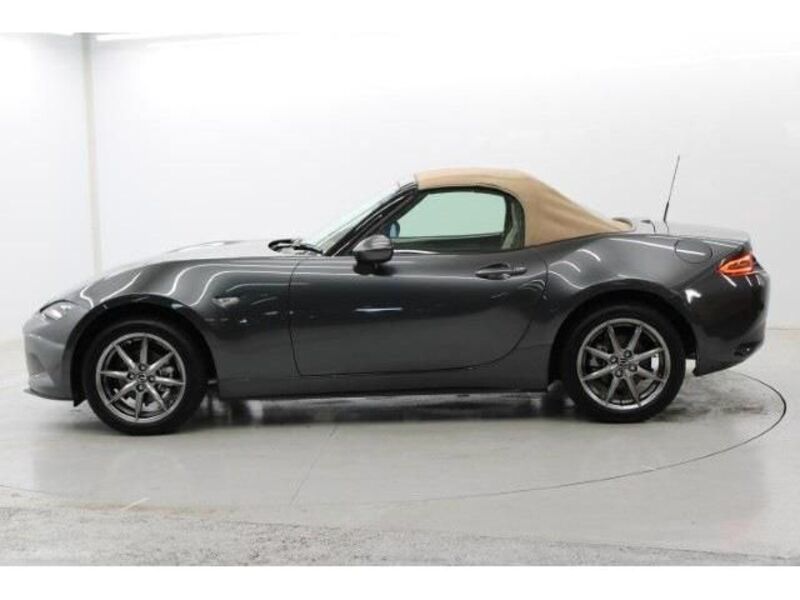 ROADSTER