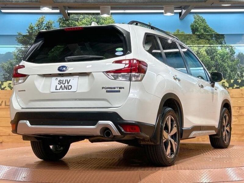 FORESTER