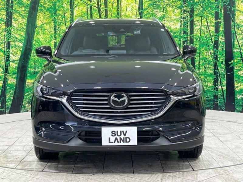 CX-8