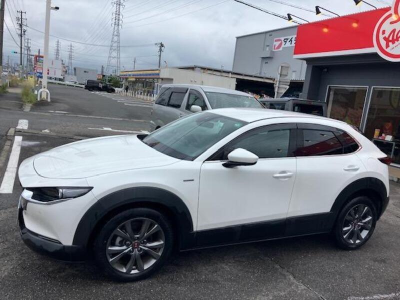 CX-30