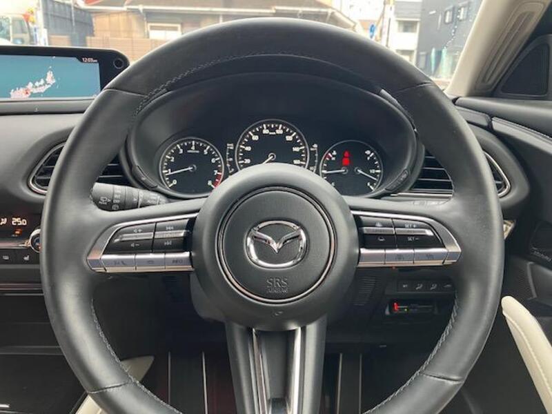 CX-30