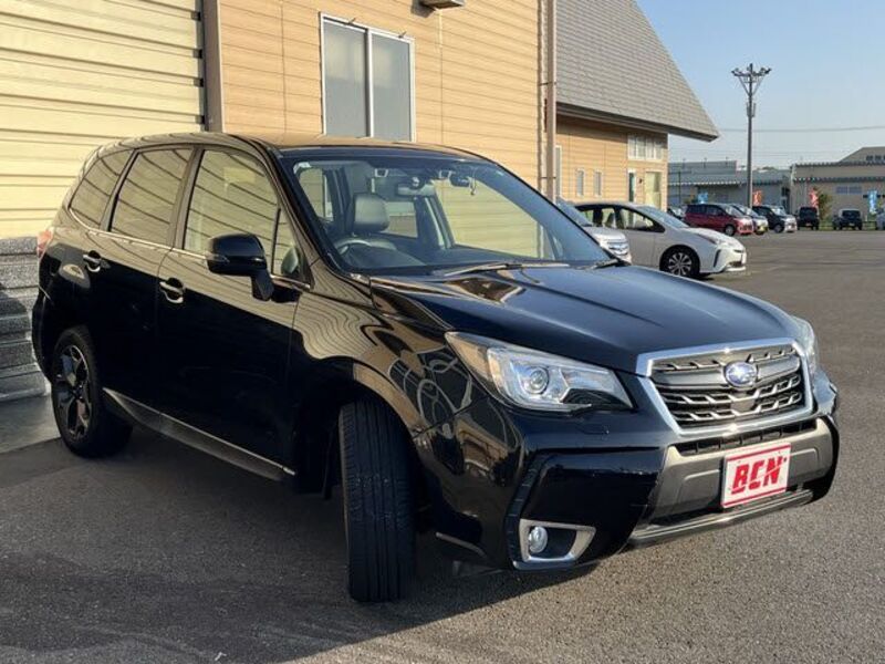FORESTER