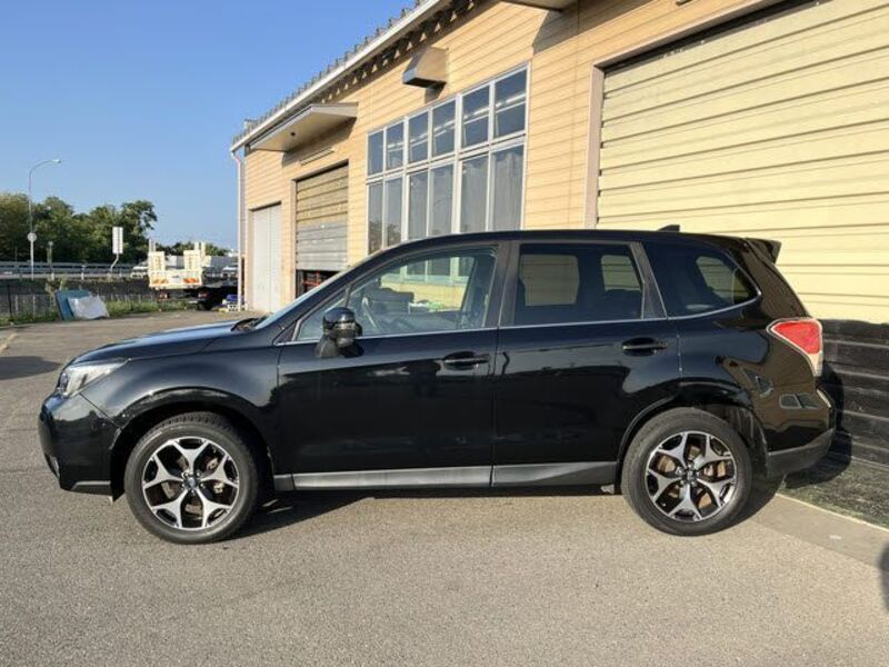 FORESTER