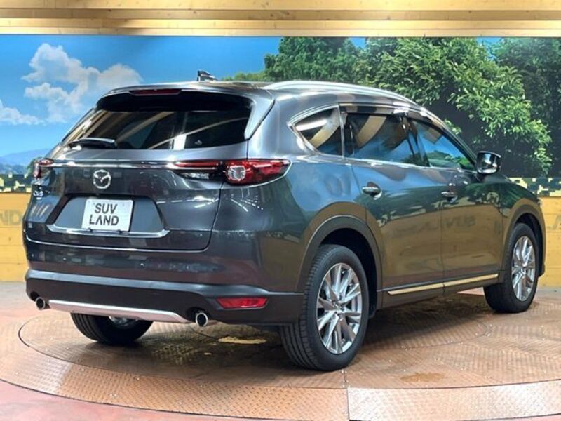CX-8
