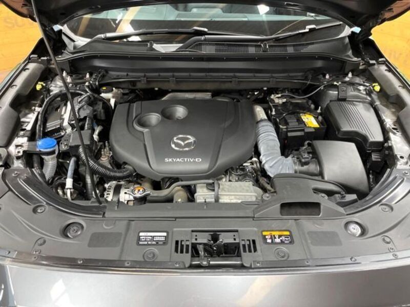 CX-8