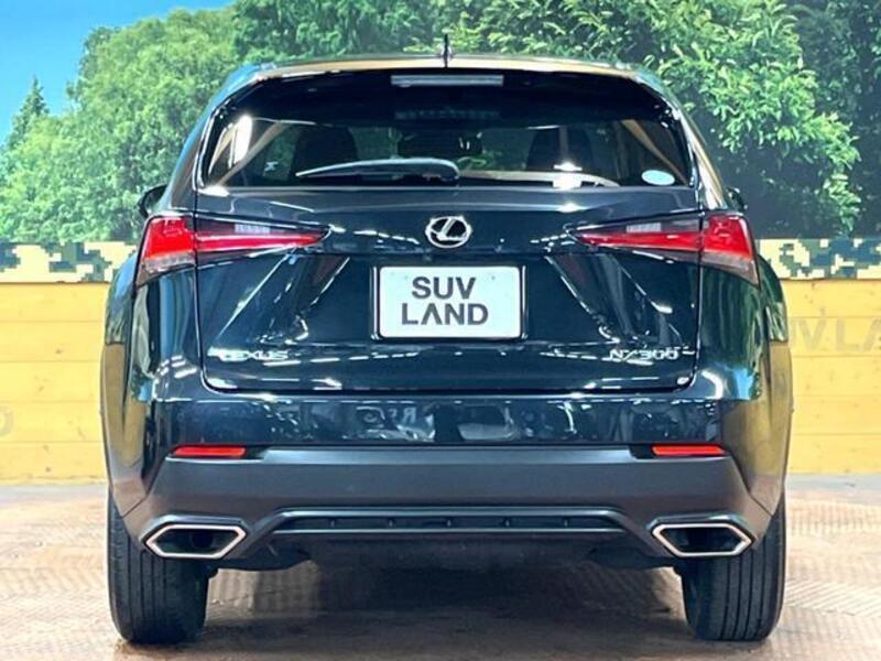 NX