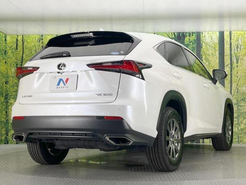 NX