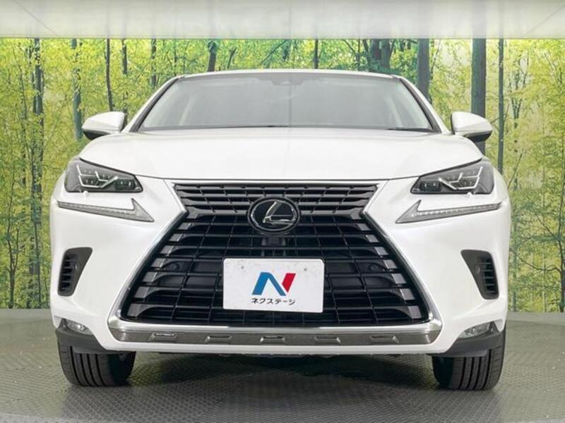 NX