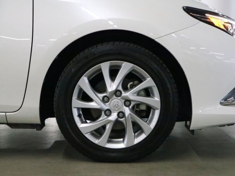 AURIS