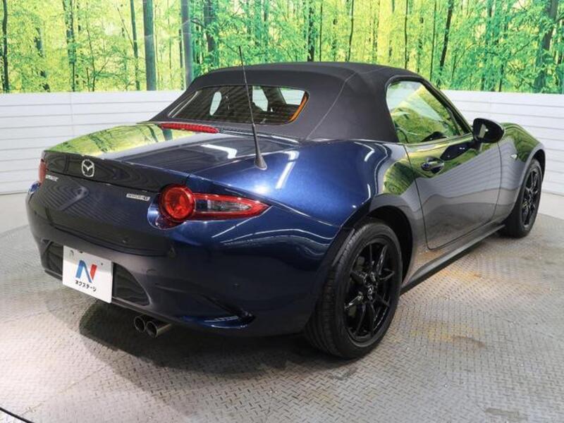 ROADSTER