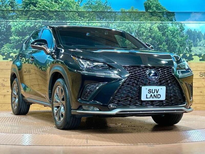 NX