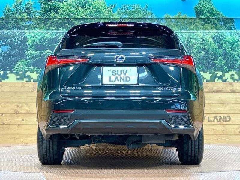 NX