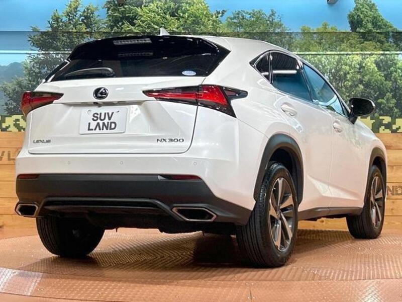NX