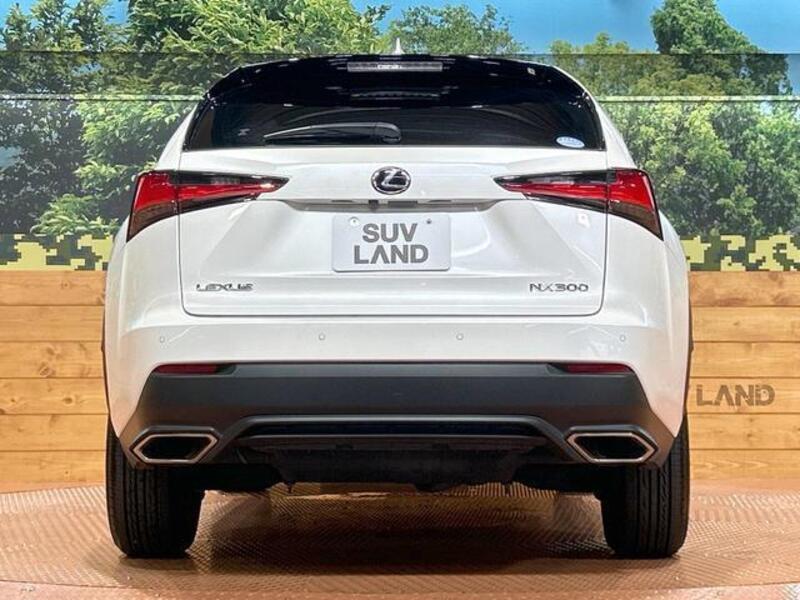 NX