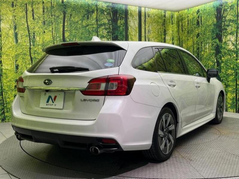 LEVORG