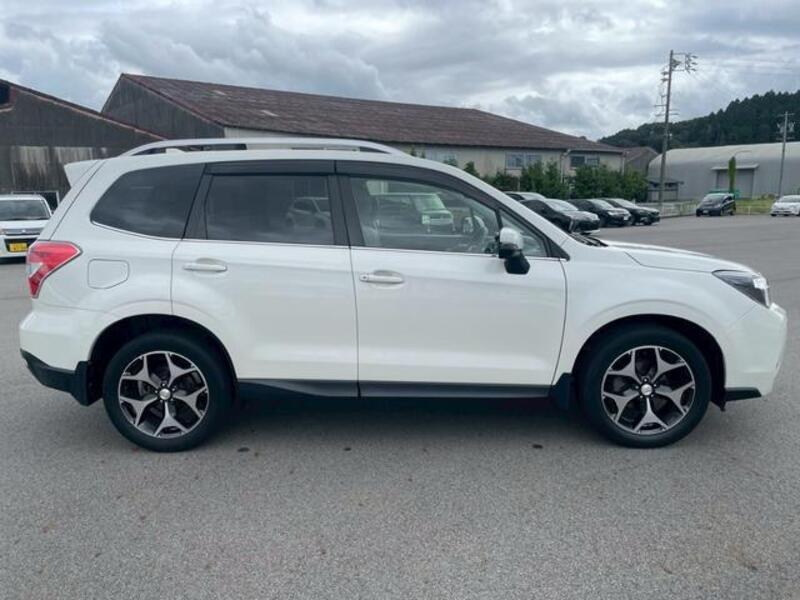 FORESTER