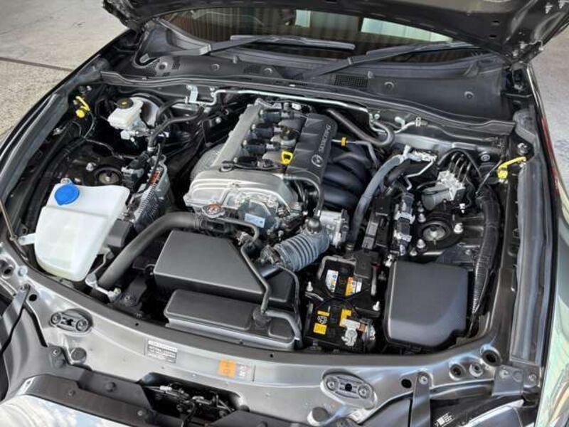 ROADSTER RF