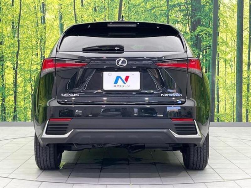 NX
