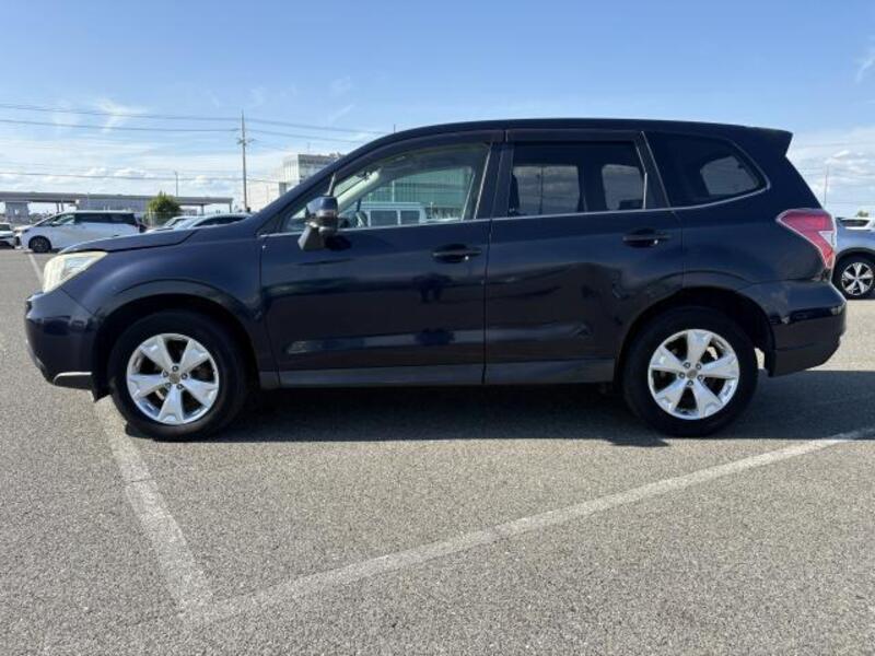 FORESTER