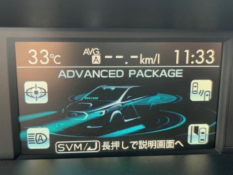 LEVORG