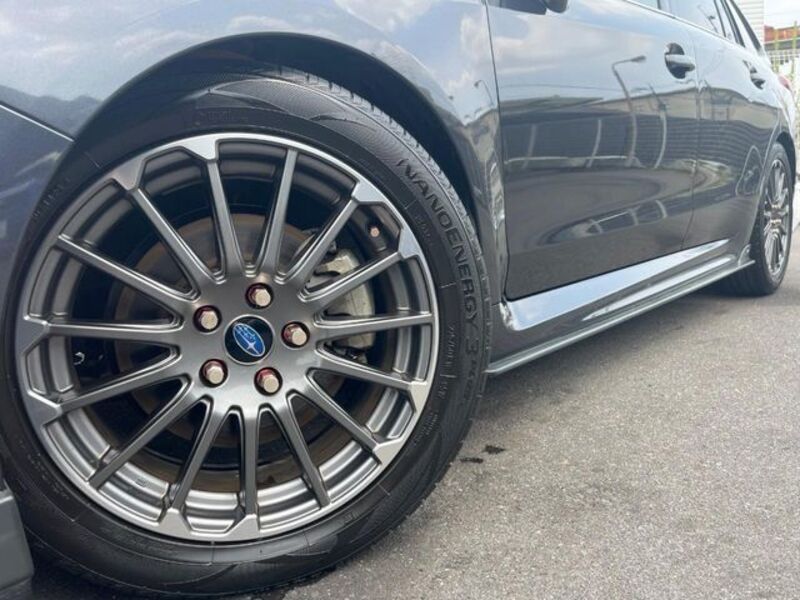 LEVORG