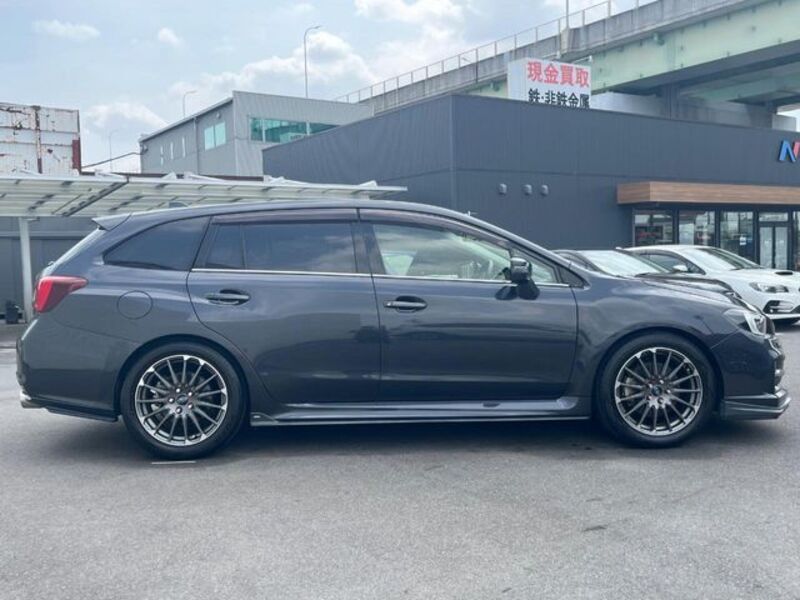 LEVORG