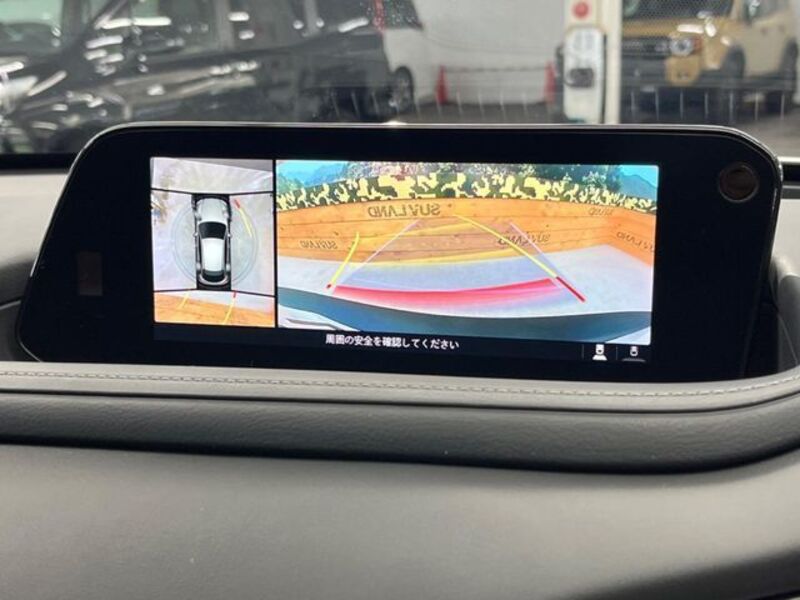 CX-30