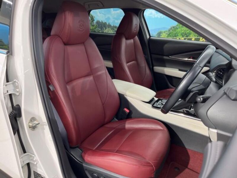CX-30