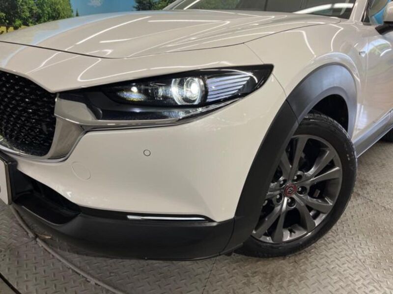 CX-30
