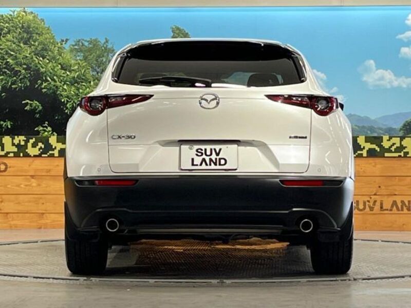 CX-30