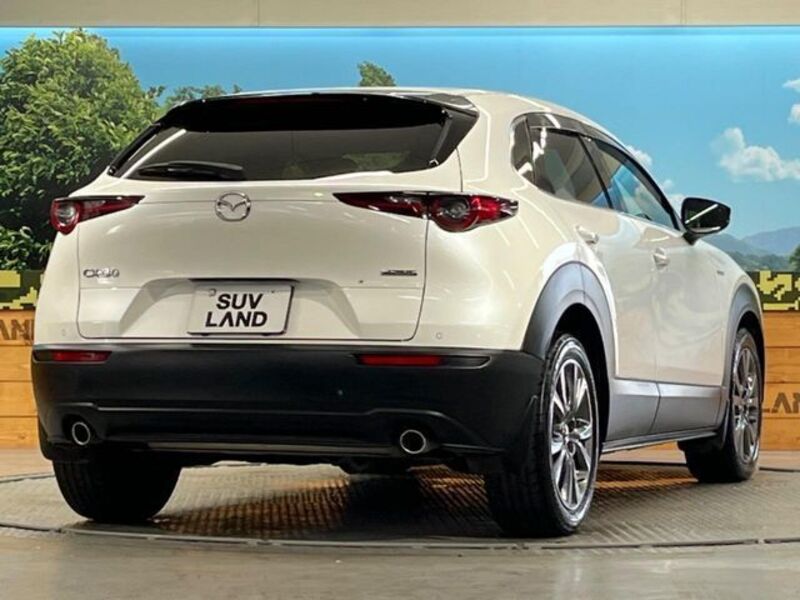 CX-30