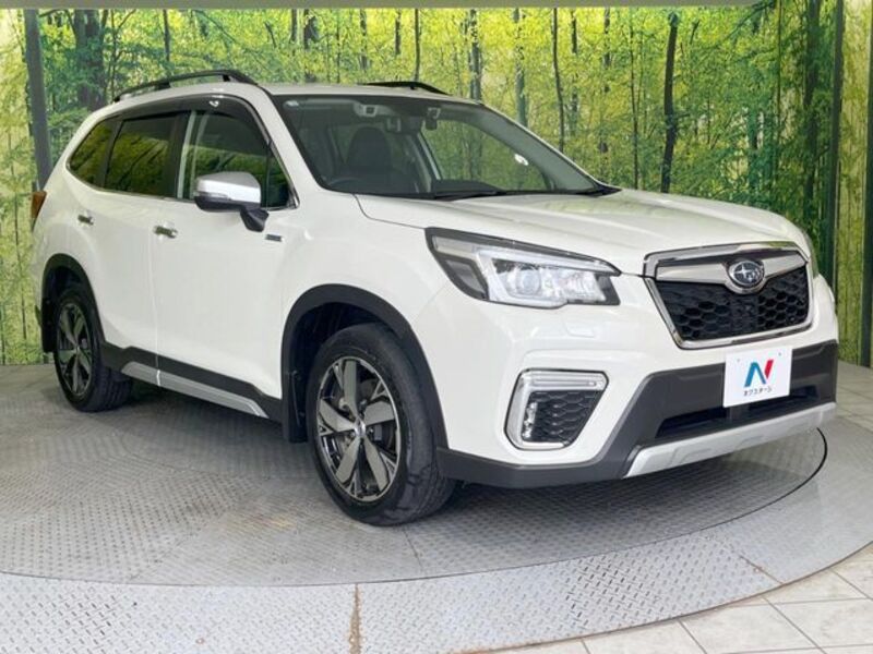 FORESTER