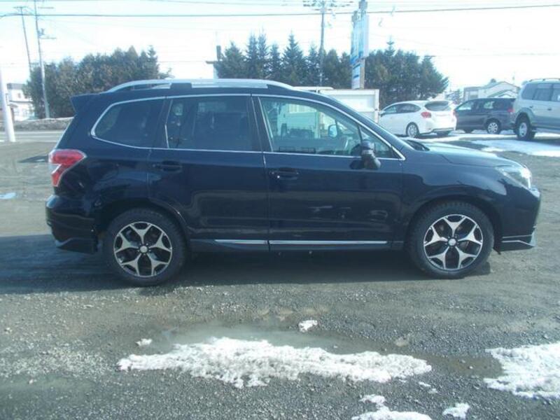 FORESTER