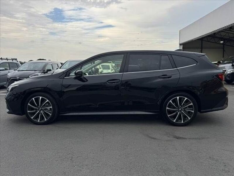 LEVORG