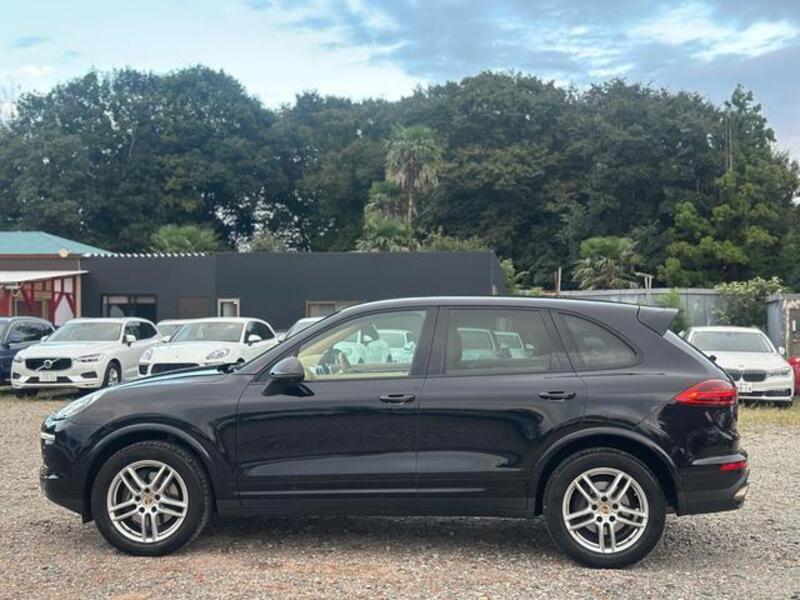 CAYENNE