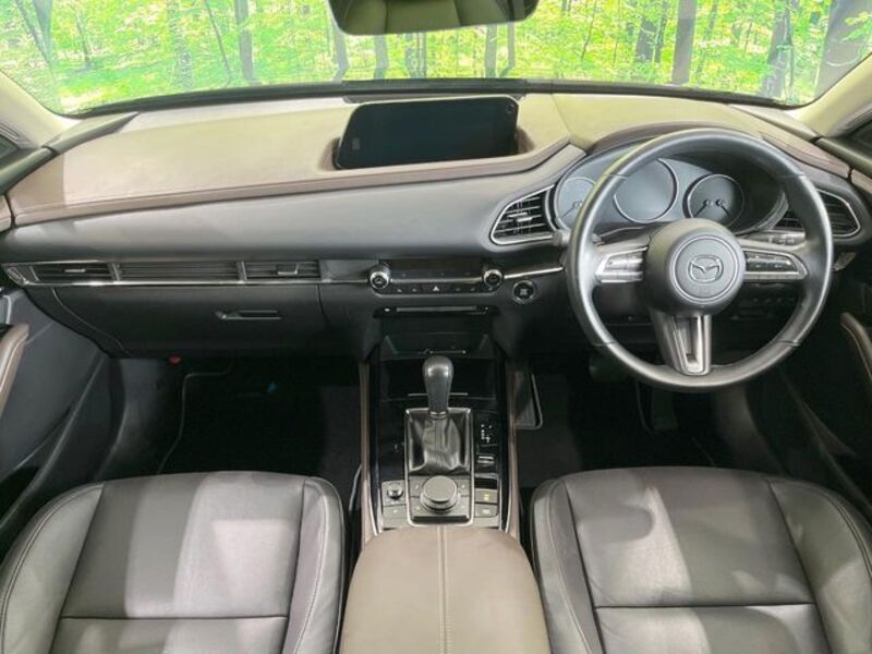 CX-30