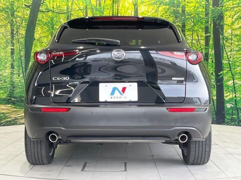 CX-30