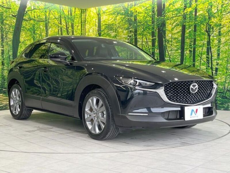 CX-30