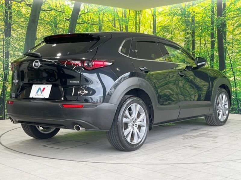 CX-30