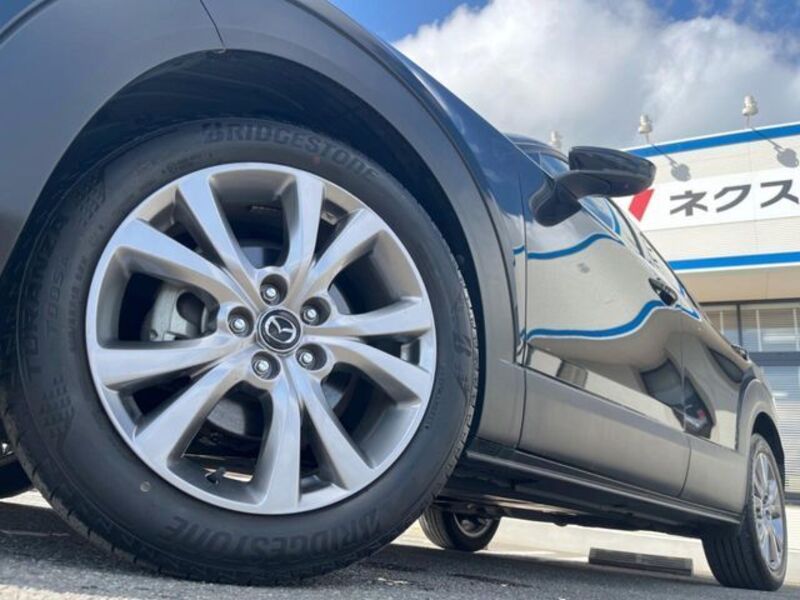 CX-30