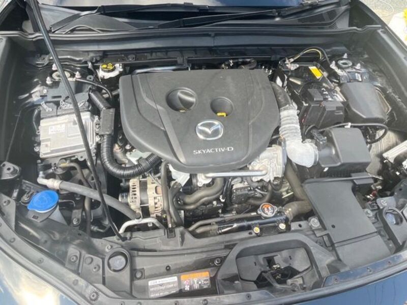 CX-30