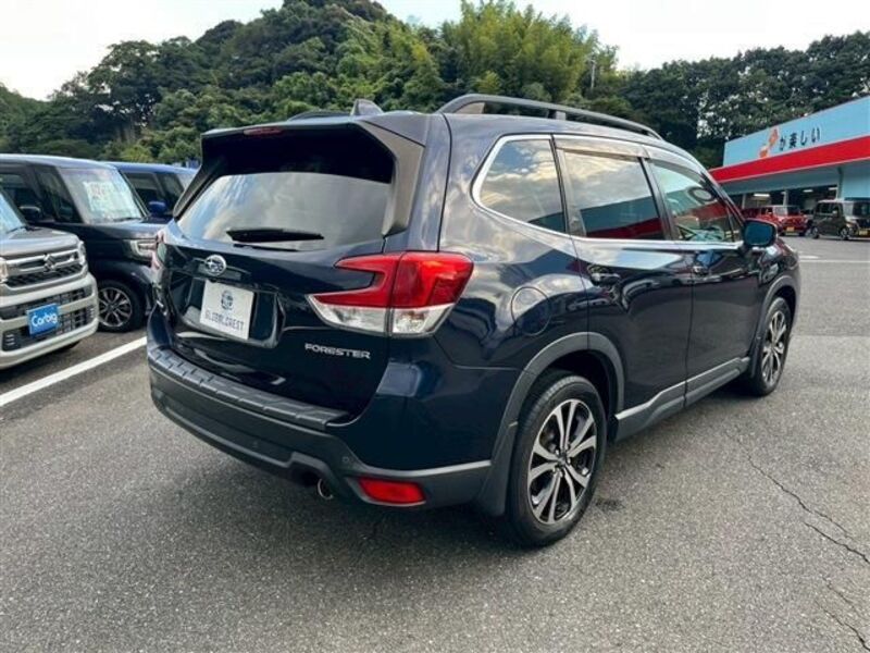 FORESTER